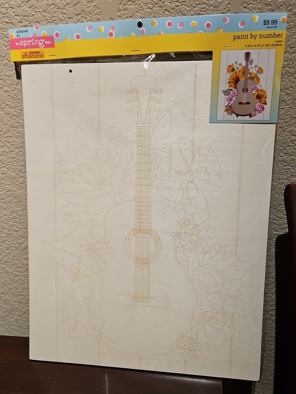 Paint By Numbers - Guitar